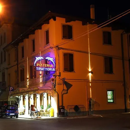 Delfini
