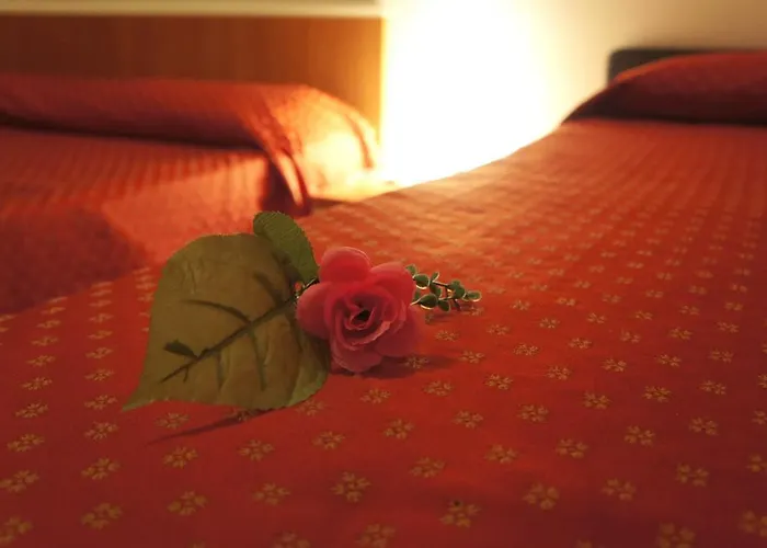 Pensionat Delfini Palmanova